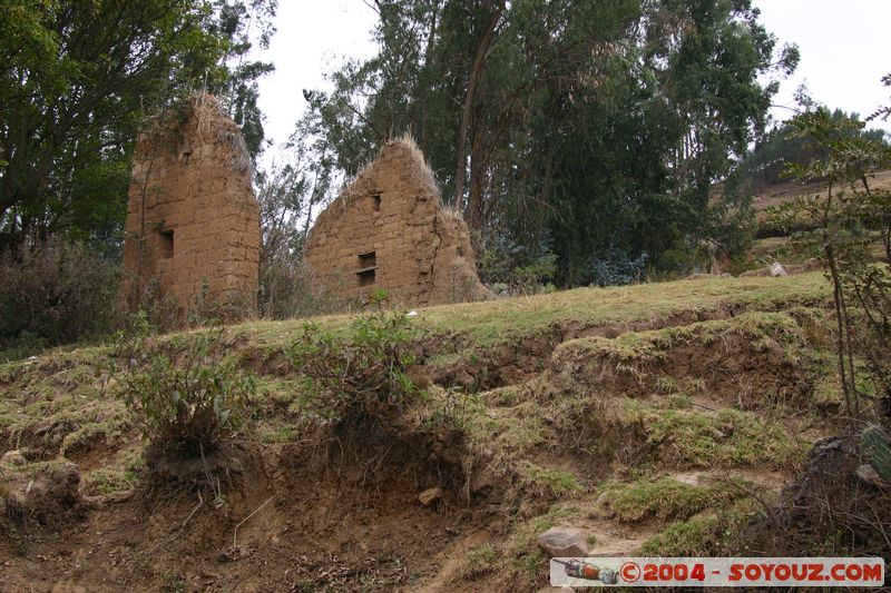 Camino Inca - Mollepata
Mots-clés: peru Camino Inca Alternativo