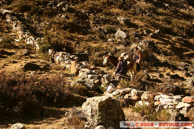 Camino Inca - Soraypampa
Mots-clés: peru Camino Inca Alternativo