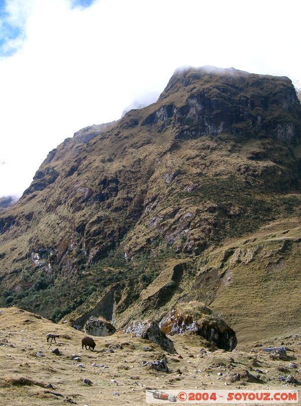 Camino Inca - Huaytac
Mots-clés: peru Camino Inca Alternativo