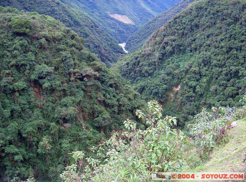 Camino Inca - Collpapampa
Mots-clés: peru Camino Inca Alternativo Riviere