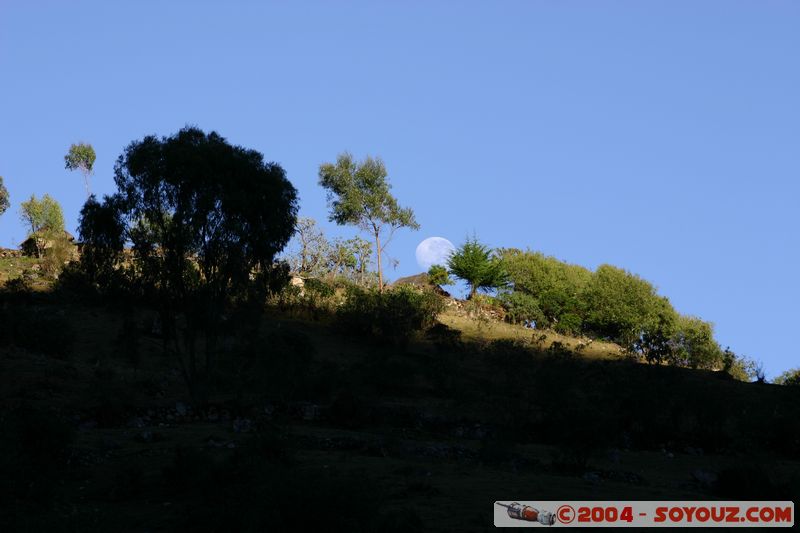 Camino Inca - Collpapampa - Lever de Lune
Mots-clés: peru Camino Inca Alternativo Lune