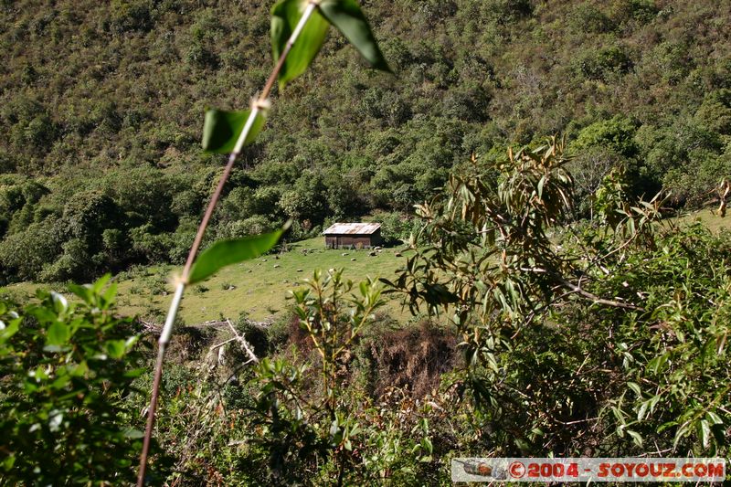 Camino Inca - Lluskamayu
Mots-clés: peru Camino Inca Alternativo