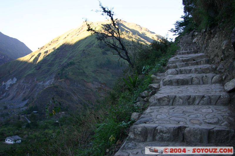 Camino Inca - Santa Teresa
Mots-clés: peru Camino Inca Alternativo