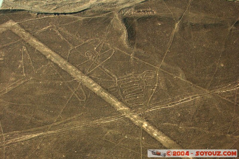 Las lineas de Nazca - ballena (baleine)
Mots-clés: peru Nasca patrimoine unesco Ruines