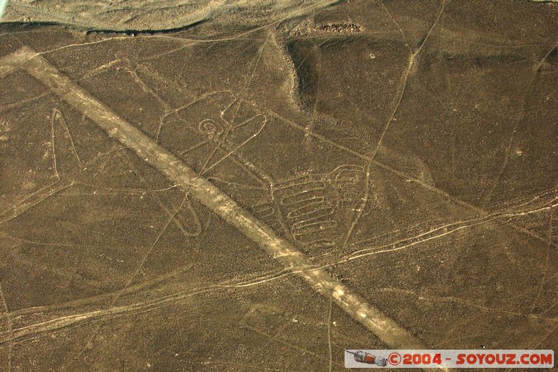 Las lineas de Nazca - ballena (baleine)
Mots-clés: peru Nasca patrimoine unesco Ruines