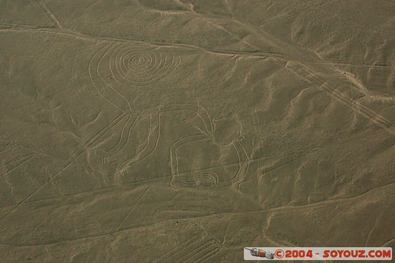 Las lineas de Nazca - mono (singe)
Mots-clés: peru Nasca patrimoine unesco Ruines