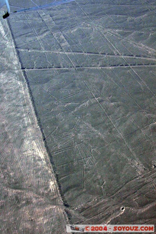Las lineas de Nazca - flamenco (flamand)
Mots-clés: peru Nasca patrimoine unesco Ruines
