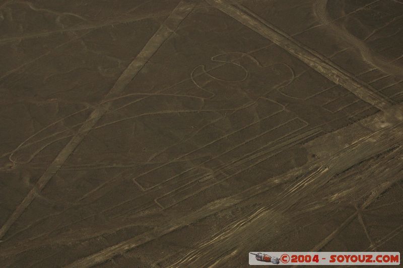 Las lineas de Nazca - loro (perroquet)
Mots-clés: peru Nasca patrimoine unesco Ruines