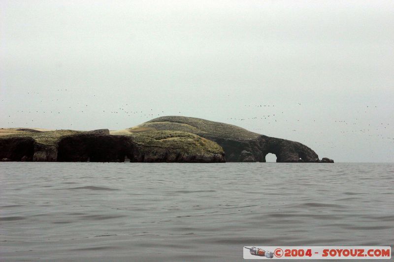 Islas Ballestas
Mots-clés: peru