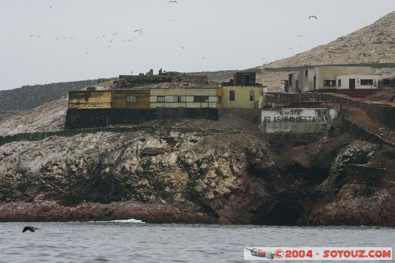 Islas Ballestas - Usine d'extraction du guano
Mots-clés: peru