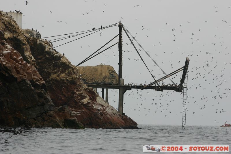 Islas Ballestas - Usine d'extraction du guano
Mots-clés: peru