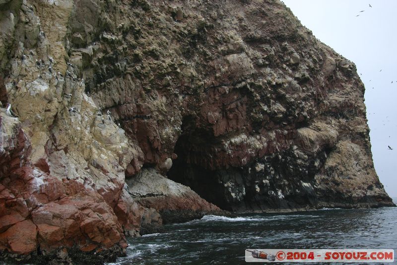 Islas Ballestas
Mots-clés: peru