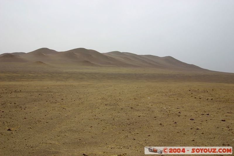 Peninsula de Paracas
Mots-clés: peru Desert