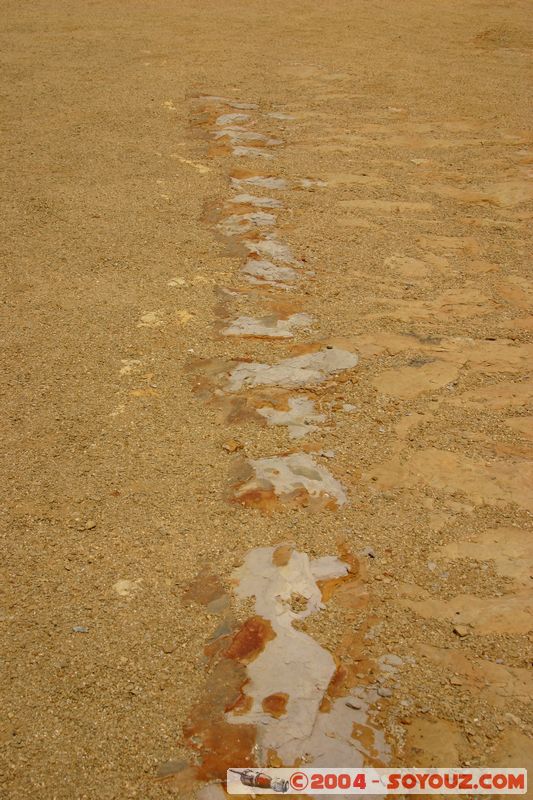 Peninsula de Paracas
Mots-clés: peru Desert