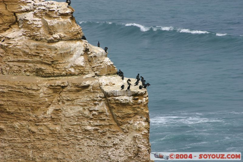 Peninsula de Paracas
Mots-clés: peru mer