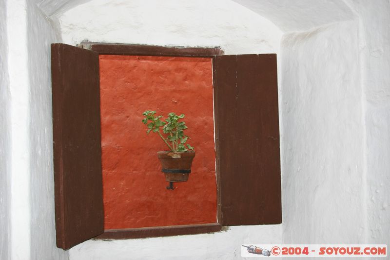 Arequipa - Monasterio de Santa Catalina
Mots-clés: peru Eglise Monastere