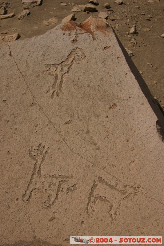 Toro Muerto - Petroglyphes
Mots-clés: peru Petroglyphes