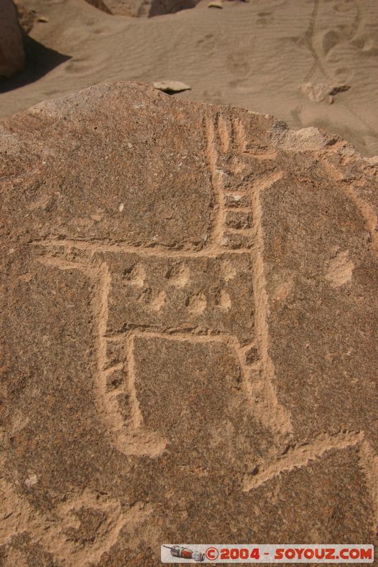 Toro Muerto - Petroglyphes
Mots-clés: peru Petroglyphes