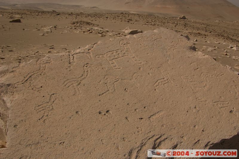 Toro Muerto - Petroglyphes
Mots-clés: peru Petroglyphes