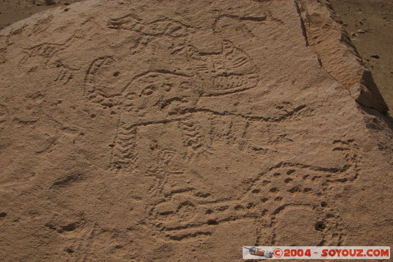 Toro Muerto - Petroglyphes
Mots-clés: peru Petroglyphes