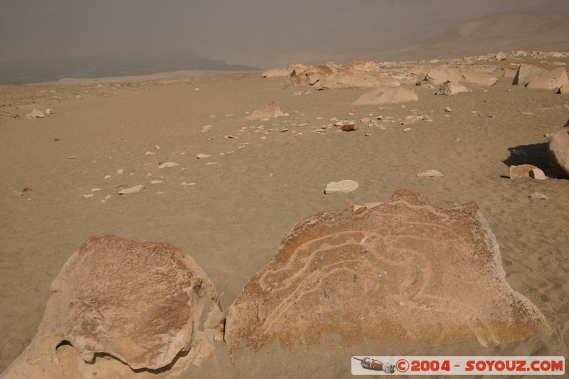 Toro Muerto - Petroglyphes
Mots-clés: peru Petroglyphes