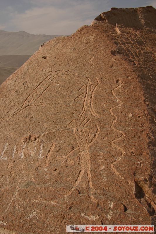 Toro Muerto - Petroglyphes
Mots-clés: peru Petroglyphes