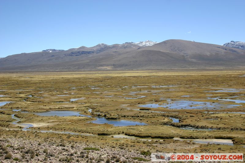 Reserva Nacional Salinas y Aguada Blanca
Mots-clés: peru Montagne