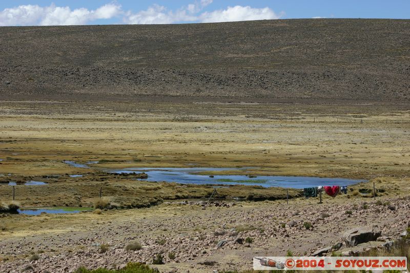 Reserva Nacional Salinas y Aguada Blanca
Mots-clés: peru