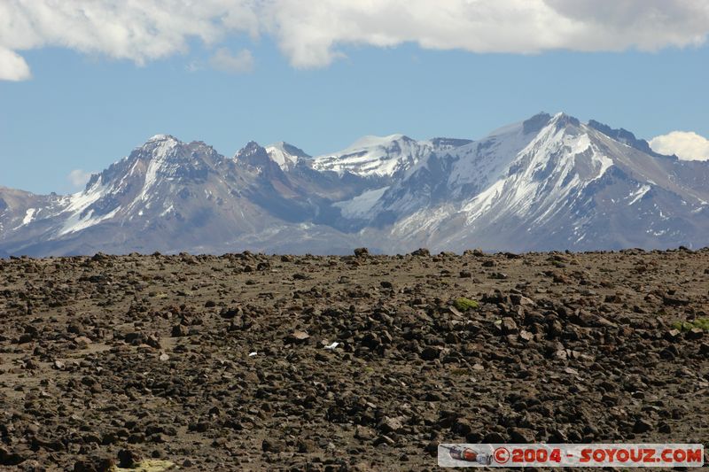 Reserva Nacional Salinas y Aguada Blanca
Mots-clés: peru Montagne Neige