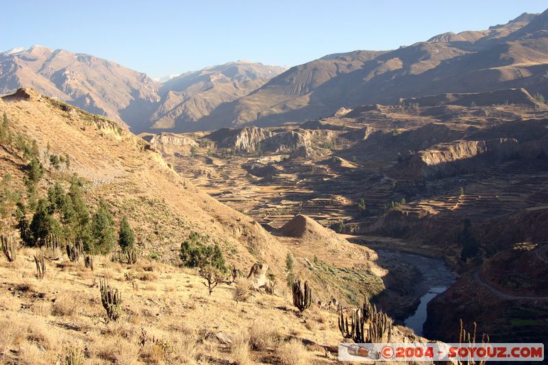 Canyon del Colca
Mots-clés: peru