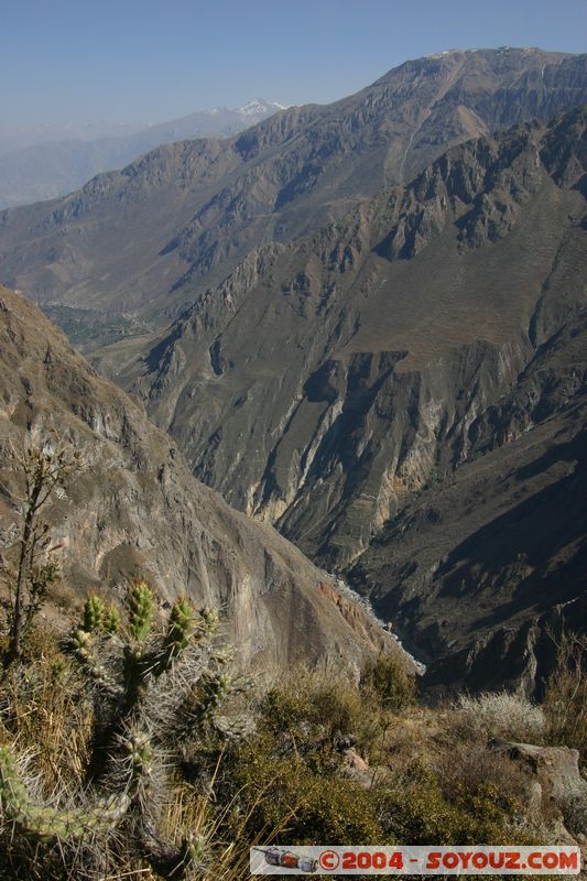 Canyon del Colca
Mots-clés: peru Montagne