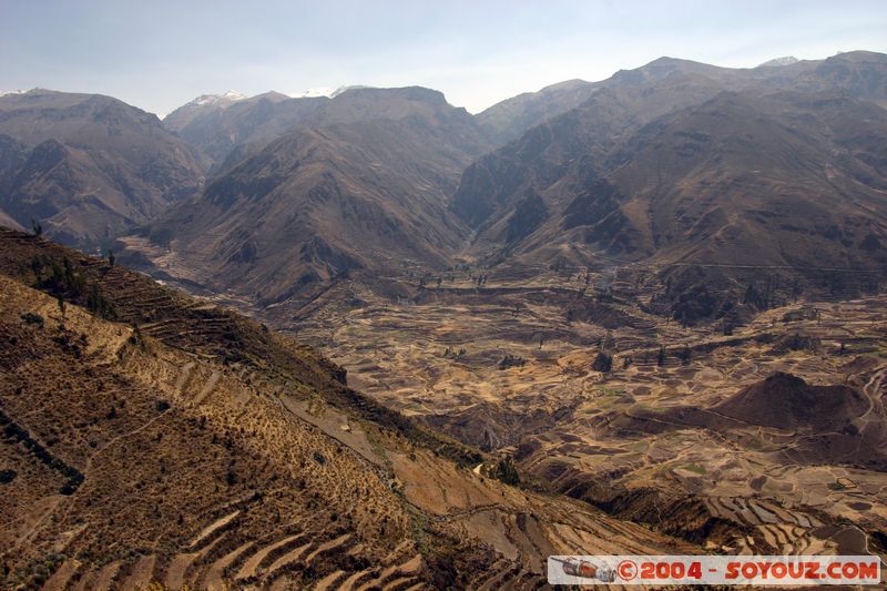 Canyon del Colca
Mots-clés: peru Montagne