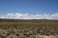 IMG_9479.JPG