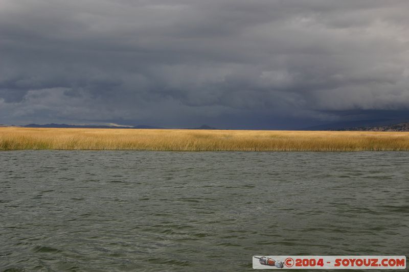 Lago Tititaca
Mots-clés: peru Lac Roseau