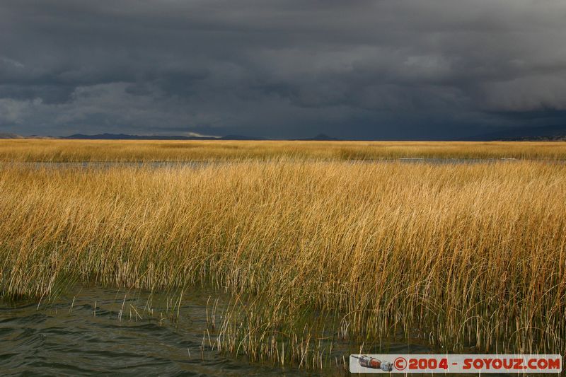 Lago Tititaca
Mots-clés: peru Lac Roseau