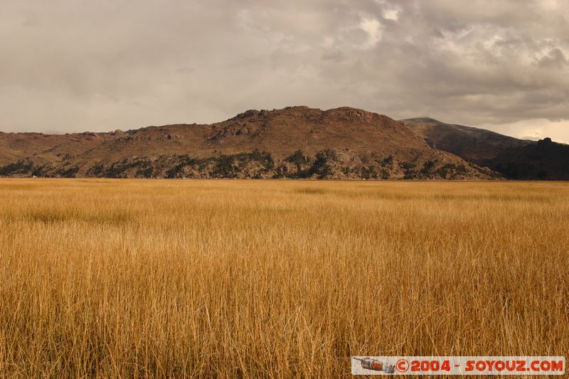 Lago Tititaca
Mots-clés: peru Lac Roseau