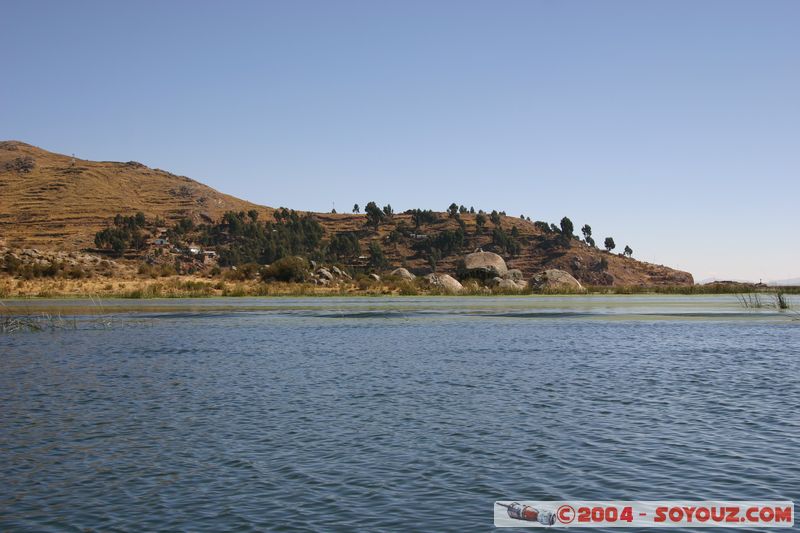 Lago Tititaca
Mots-clés: peru Lac Roseau