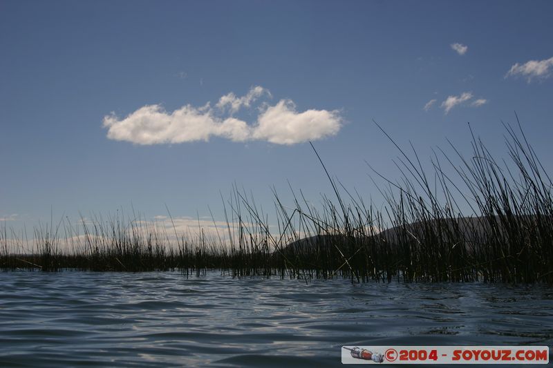 Lago Tititaca
Mots-clés: peru Lac Roseau