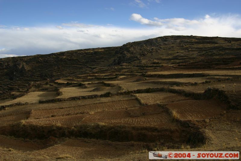 Lago Titicaca - Isla Amantani - Cultures
Mots-clés: peru