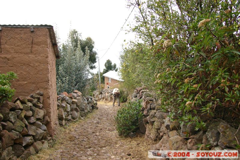 Lago Titicaca - Isla Amantani
Mots-clés: peru