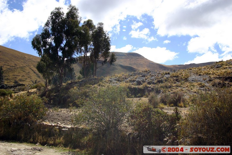 Lac Titicaca - Bahia de Copacabana
