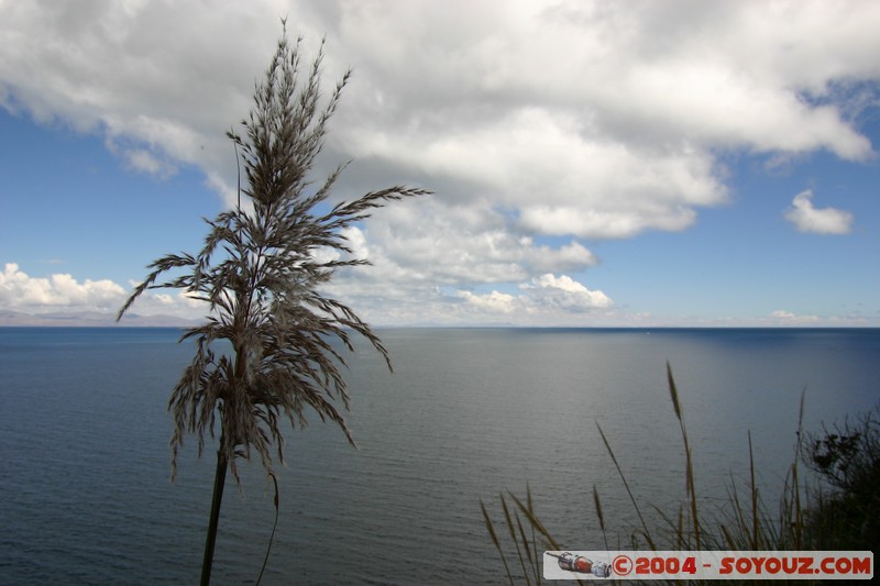 Lac Titicaca - Bahia de Copacabana
Mots-clés: Lac