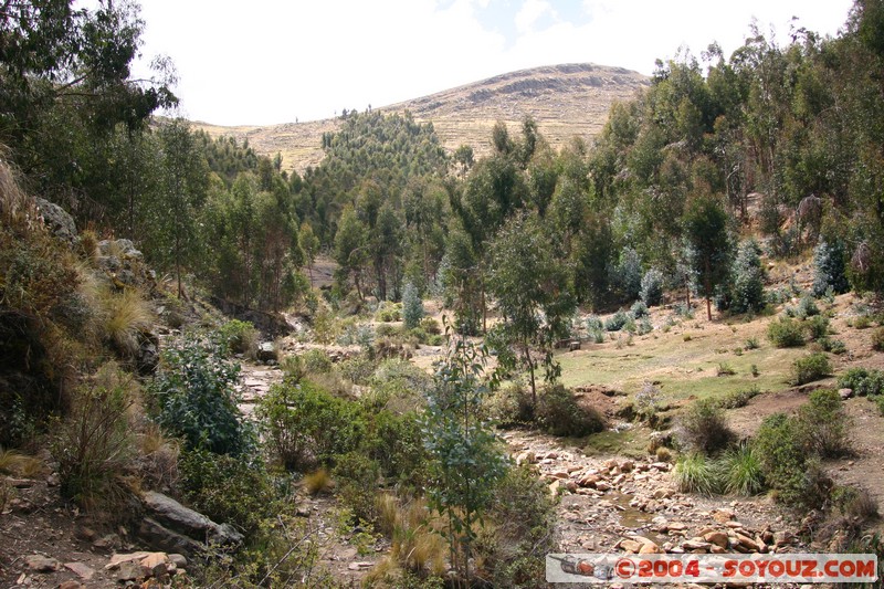 Lac Titicaca - Bahia de Copacabana
