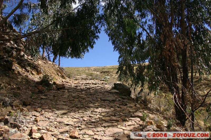 Lac Titicaca - Ruta Inca
Mots-clés: Ruines Incas