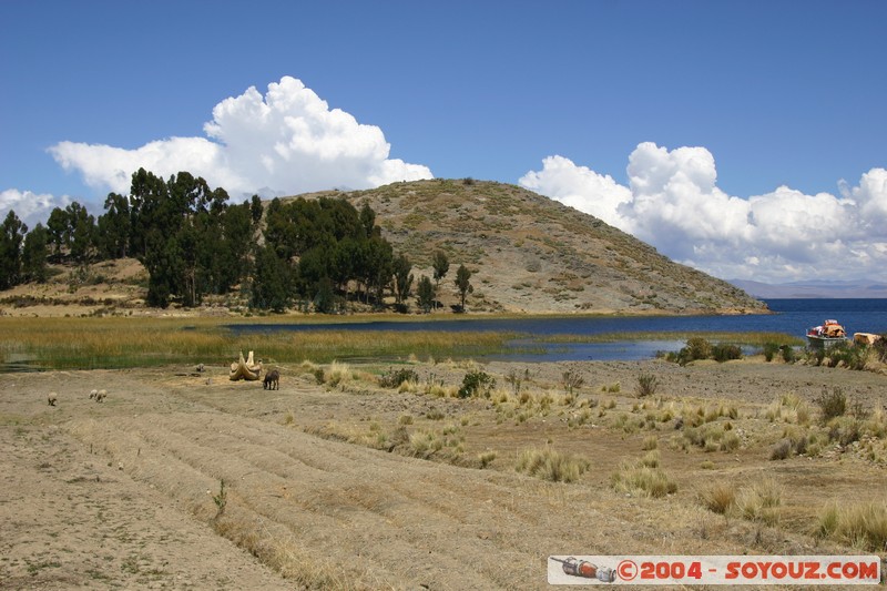 Lac Titicaca - Bahia de Copacabana
Mots-clés: Lac