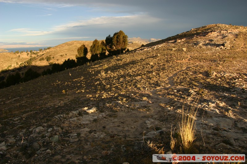 Isla del Sol
Mots-clés: sunset