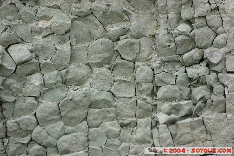 Sucre - Parque Cretacico Cal Orko
Mots-clés: Fossile