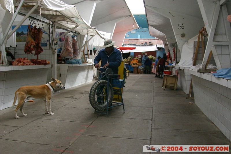 Potosi - Mercado Central
Mots-clés: Marche animals chien