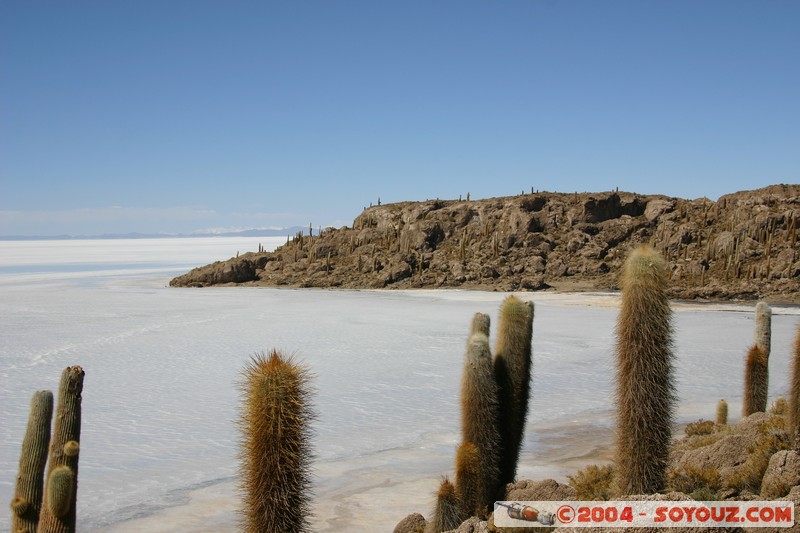 Isla Pescado (or Incahuasi)
