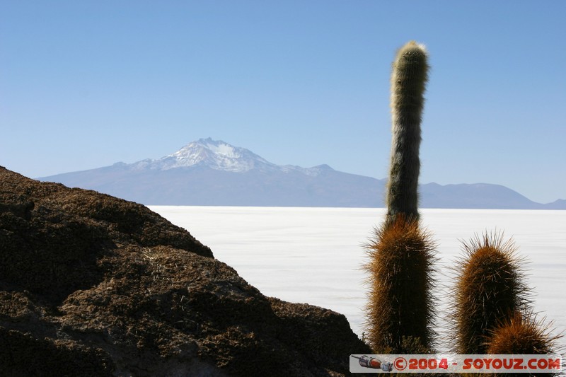 Isla Pescado - Volcan Thunupa
Mots-clés: volcan